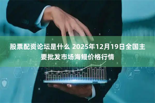 股票配资论坛是什么 2025年12月19日全国主要批发市场海鳗价格行情